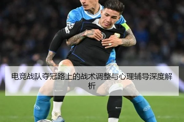 电竞战队夺冠路上的战术调整与心理辅导深度解析